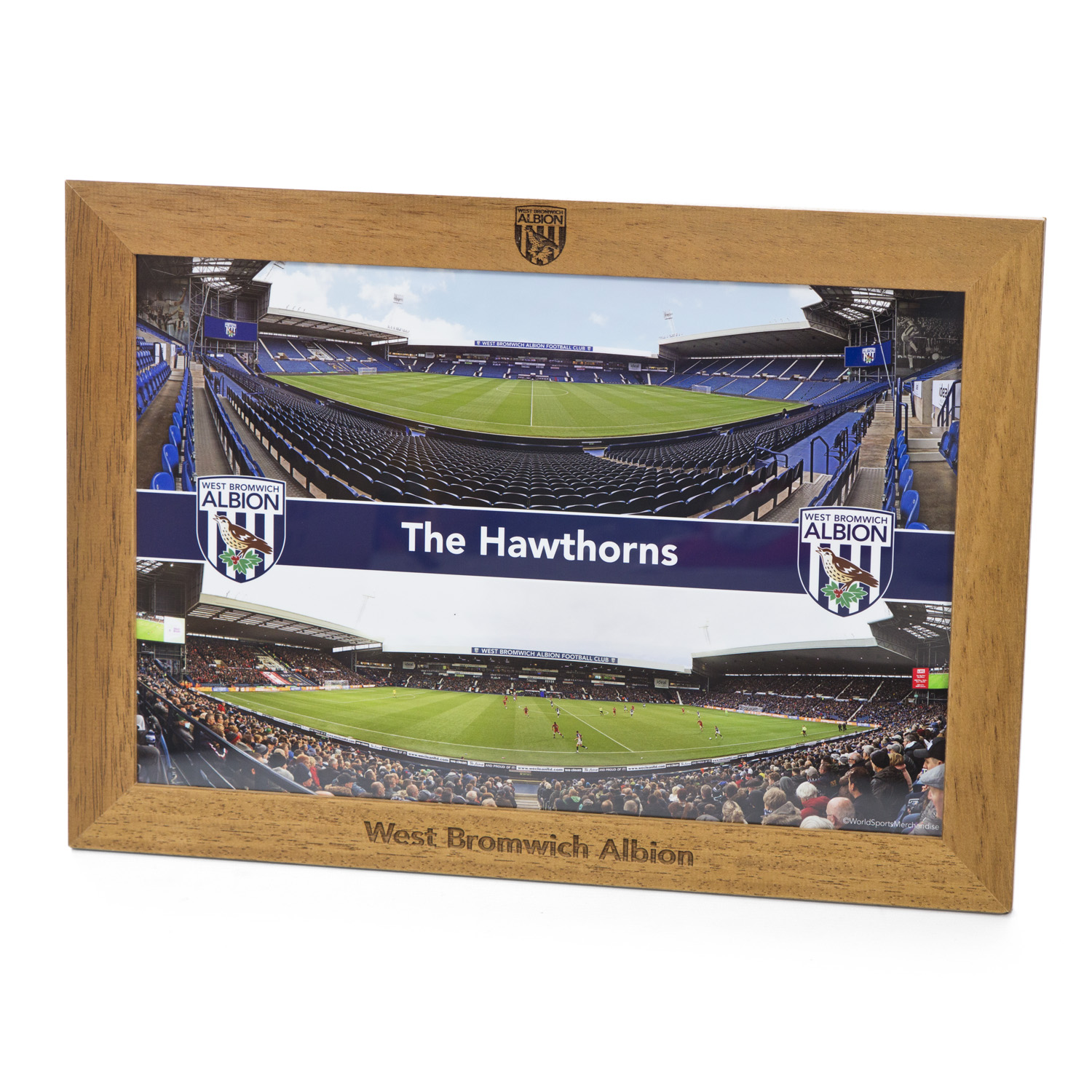 WBA Laser Framed Dual Panoramic